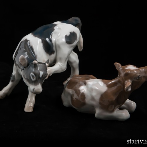 Бычок, Royal Copenhagen, Дания