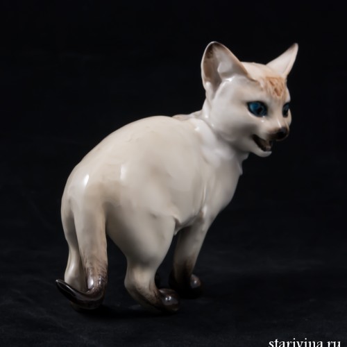 Мяукающий котенок, Hutschenreuther, Германия, 1960 гг