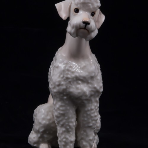 Белый пудель, Hutschenreuther, Германия, 1960 гг