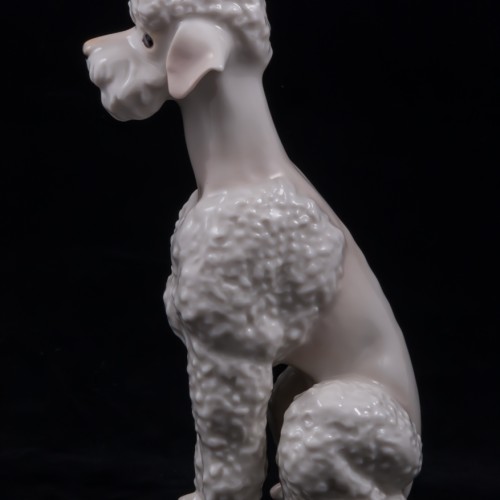 Белый пудель, Hutschenreuther, Германия, 1960 гг