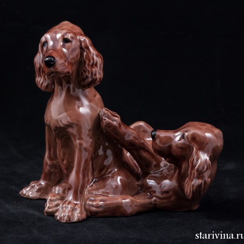 Два спаниеля, Англия