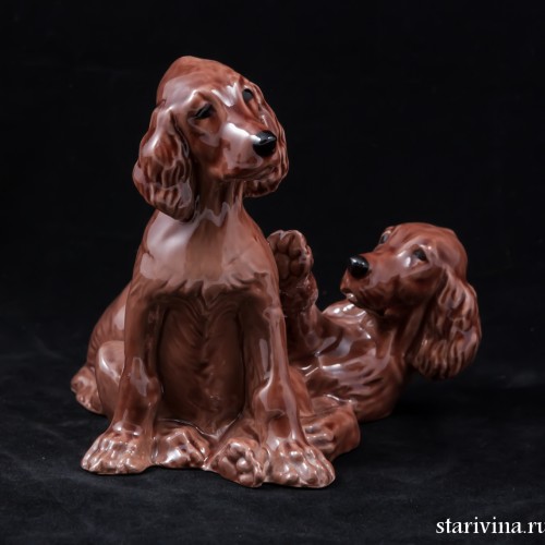 Два спаниеля, Англия