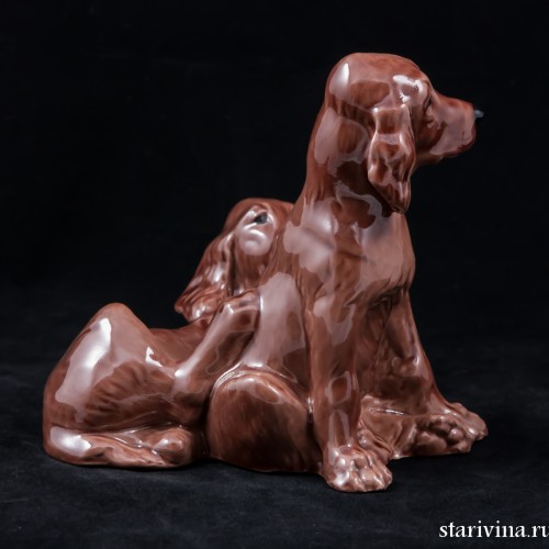 Два спаниеля, Англия