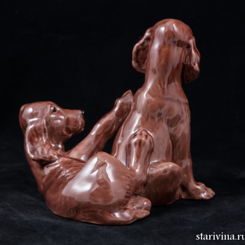 Два спаниеля, Англия