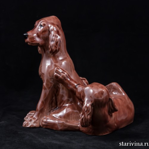 Два спаниеля, Англия