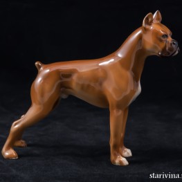 Боксер, Hutschenreuther, Германия, 1950-60 гг