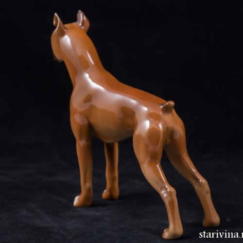 Боксер, Hutschenreuther, Германия, 1950-60 гг