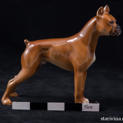 Боксер, Hutschenreuther, Германия, 1950-60 гг