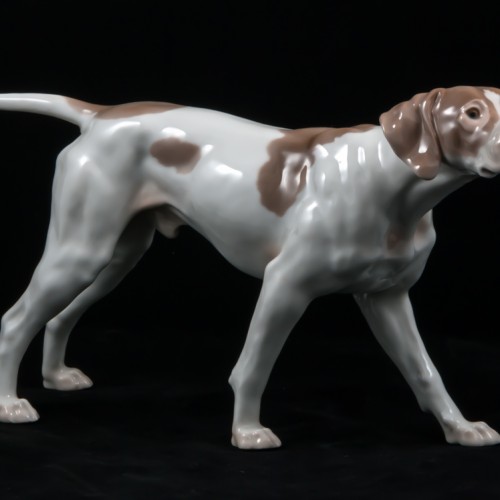 Поинтер, Bing & Grondahl, Дания, 1950-60 гг