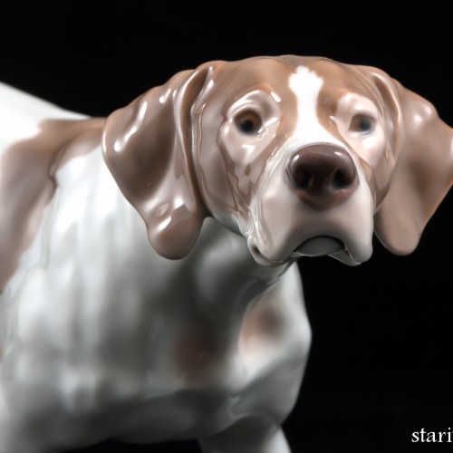 Поинтер, Bing & Grondahl, Дания, 1950-60 гг