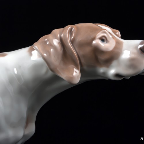 Поинтер, Bing & Grondahl, Дания, 1950-60 гг