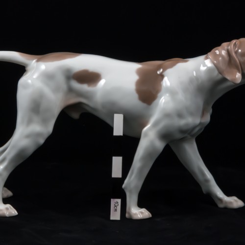 Поинтер, Bing & Grondahl, Дания, 1950-60 гг