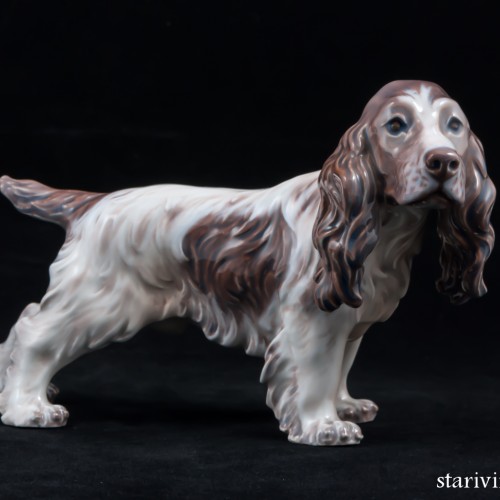 Спаниель, Dahl Jensen, Дания, 1920-80 гг