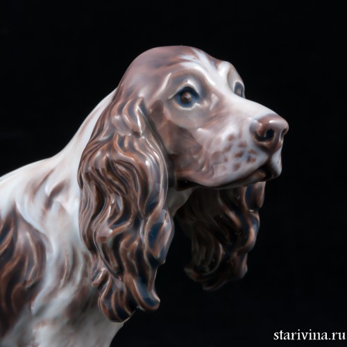 Спаниель, Dahl Jensen, Дания, 1920-80 гг