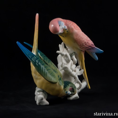 Два волнистых попугайчика, Karl Ens, Германия, 1920-30 гг