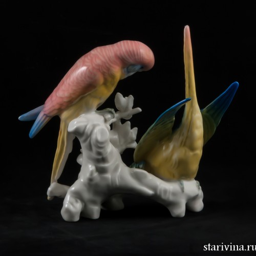 Два волнистых попугайчика, Karl Ens, Германия, 1920-30 гг