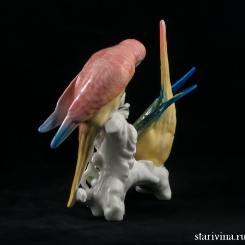 Два волнистых попугайчика, Karl Ens, Германия, 1920-30 гг