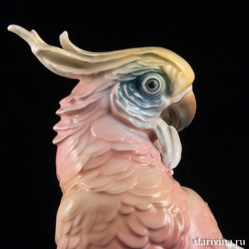 Попугаи какаду, Karl Ens, Германия, 1920-30 гг