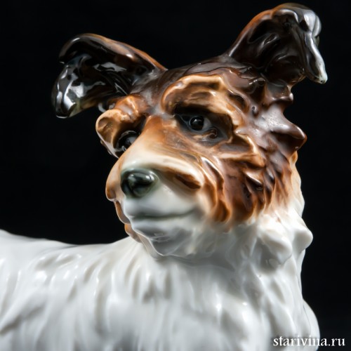 Скай терьер, Karl Ens, Германия, 1920-30 гг