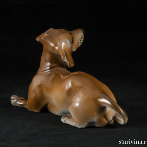 Такса лежащая, Rosenthal, Германия, 1953-56 гг