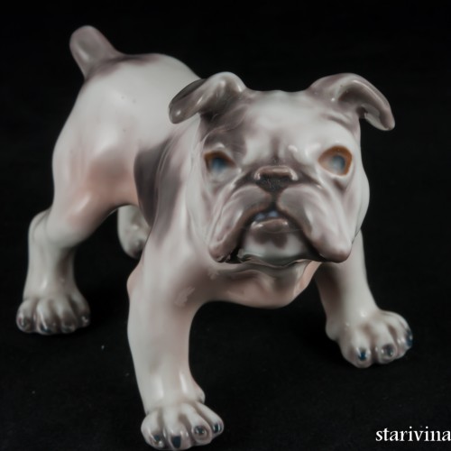 Английский бульдог, Dahl Jensen, Дания, 1920-70 гг