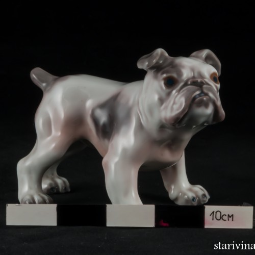 Английский бульдог, Dahl Jensen, Дания, 1920-70 гг