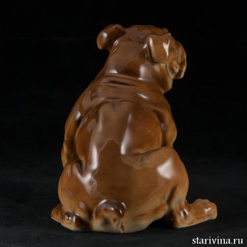 Английский бульдог, Hutschenreuther, Германия, 1970 гг