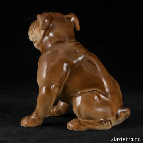 Английский бульдог, Hutschenreuther, Германия, 1970 гг