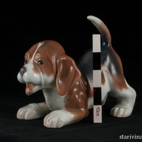 Щенок бигля, Bing & Grondahl, Дания, 1970-80 гг