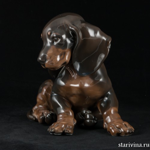 Сидящий щенок таксы, Rosenthal, Германия, 1960 гг