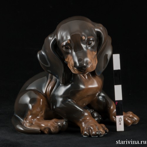 Сидящий щенок таксы, Rosenthal, Германия, 1960 гг