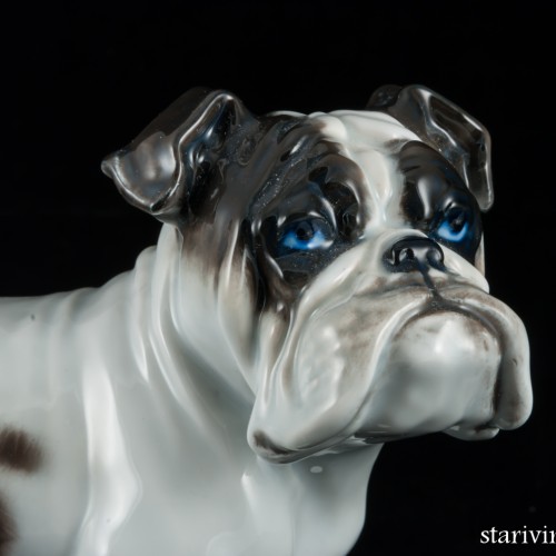 Английский бульдог, Rosenthal, Германия, 1960 гг