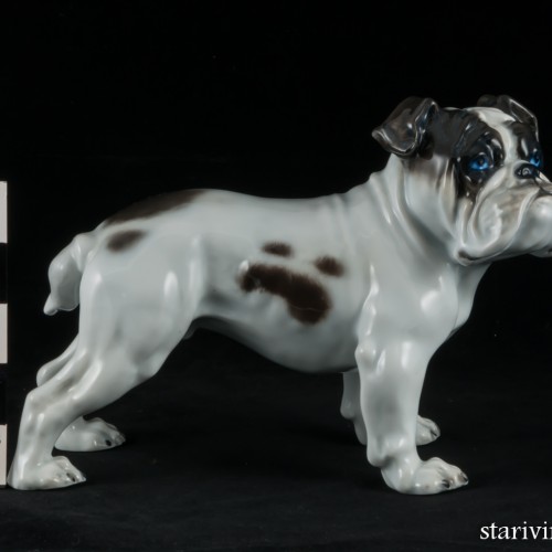 Английский бульдог, Rosenthal, Германия, 1960 гг