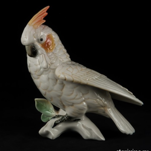 Попугай белый какаду, Karl Ens, Германия