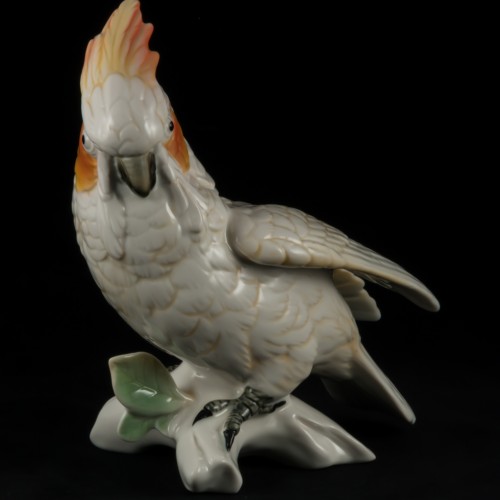 Попугай белый какаду, Karl Ens, Германия