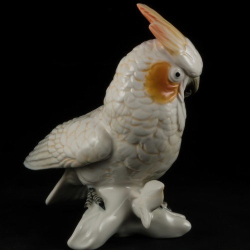 Попугай белый какаду, Karl Ens, Германия