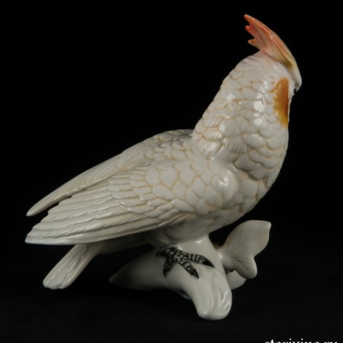 Попугай белый какаду, Karl Ens, Германия