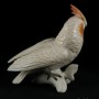 Попугай белый какаду, Karl Ens, Германия