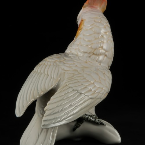 Попугай белый какаду, Karl Ens, Германия