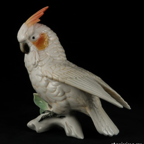 Попугай белый какаду, Karl Ens, Германия