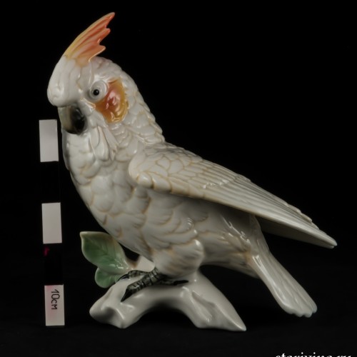 Попугай белый какаду, Karl Ens, Германия