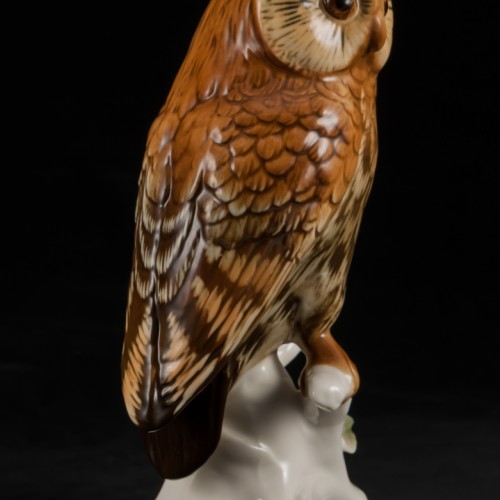 Сова, Karl Ens, Германия