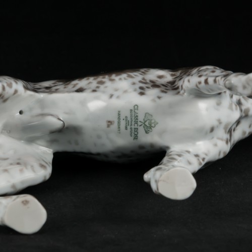 Охотничья собака, курцхаар, Rosenthal, Германия