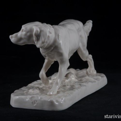 Сеттер, Nymphenburg, Германия