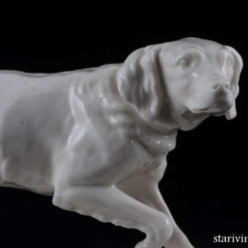 Сеттер, Nymphenburg, Германия