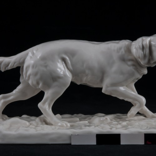 Сеттер, Nymphenburg, Германия