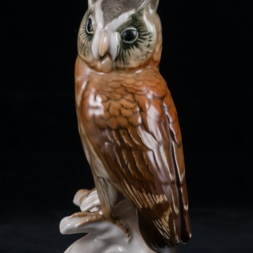 Ушастая сова, Karl Ens, Германия, 1950 гг
