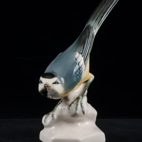 Желтая трясогузка, Volkstedt, Германия, вт. пол. 20 в