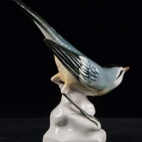 Желтая трясогузка, Volkstedt, Германия, вт. пол. 20 в