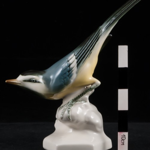 Желтая трясогузка, Volkstedt, Германия, вт. пол. 20 в